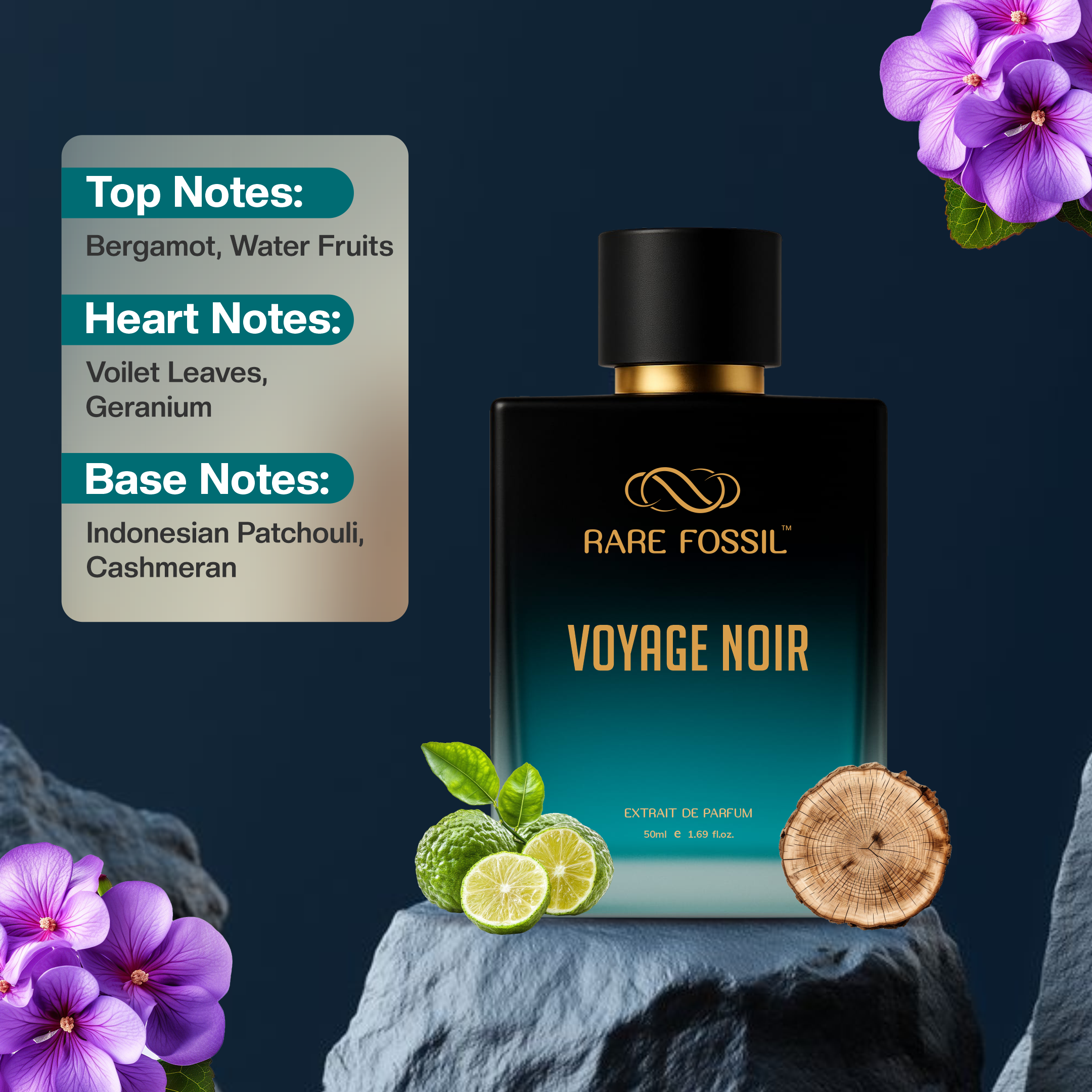 Voyage Noir